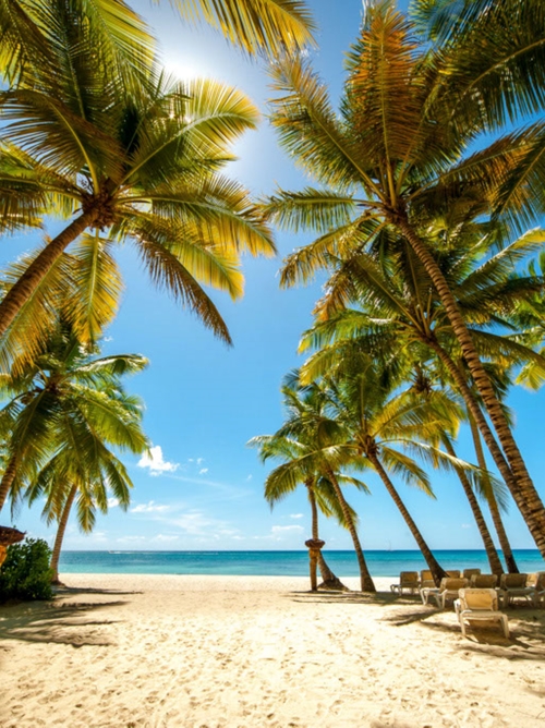 Cruceros por República Dominicana: ofertas y promociones 